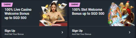 Best Baccarat Singapore Experience at PLAYDASH